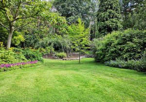Optimiser l'expérience du jardin à Cleebourg